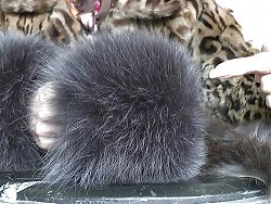 Fur Toys and JOI